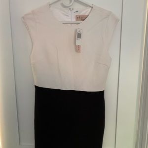 Philosophy Professional Dress